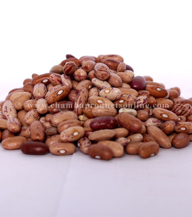 Red/White Kidney Beans